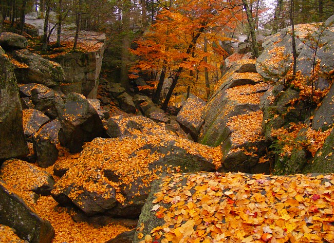 Purgatory Chasm - Purgatory Chasm State Park, Sutton, Massachusetts