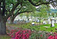 Cemetery Scenes - Natchez, Mississippi