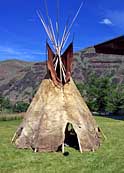 Nez Pierce Tipi