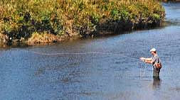 Nullhegan River Fly Fisherman