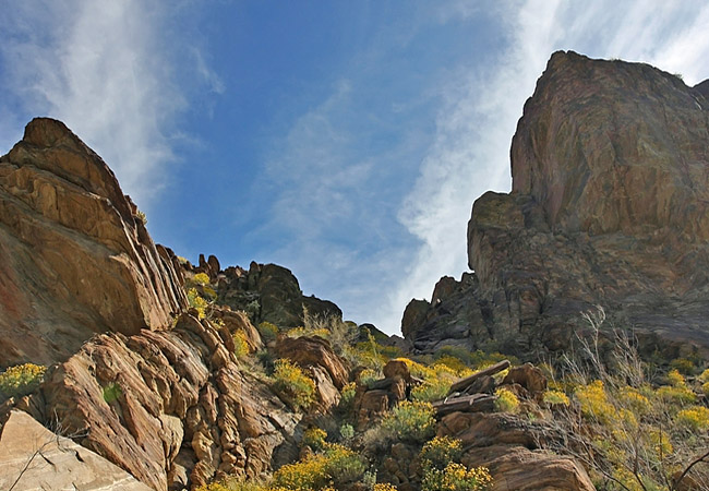 Andreas Canyon Trail - Palm Springs, California