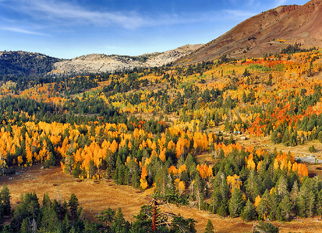 Carson Pass Highway - Pioneer to Mesa Vista CA-88, California