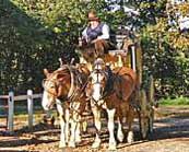 Old Sturbridge Village Stagecoach