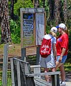 Osprey Trailhead - Honeymoon Island State Park, Dunedin, Florida