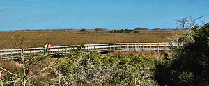 Pa-Hay-Okee Boardwalk