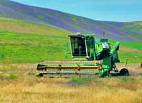 Harvest Time - Palouse Country, WA