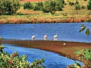 Prairie Rose Lake - Harlan, Iowa