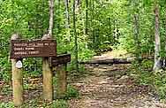 Princess Arch Trailhead - Red River Gorge, Kentucky