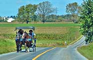 Rural Road - Lancaster County, Pennsylvania