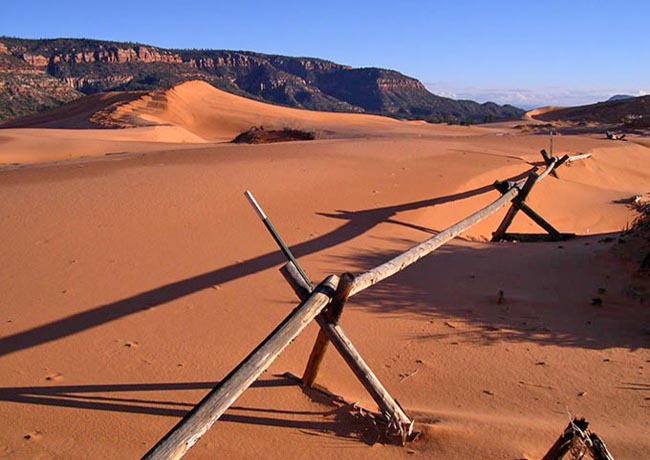 Sand Dunes - Coral Pink Sand Dunes State Park, Kanab, Utah