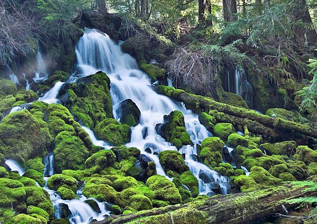 Clearwater Falls - Clearwater, Oregon