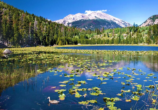 Cub Lake - Rocky Mountain National Park, Colorado