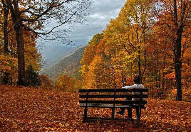 Babcock State Park -  Fayette County, West Virginia