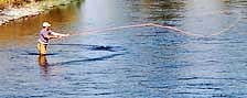 Salmon River Angler