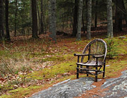 Sandburg NHS - Famous bentwood chair