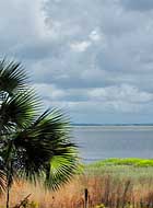 Channel View - Sapelo Island, GA