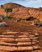 Snow Canyon - Ivins, Utah