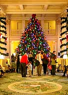 Lobby Tree - The Homestead Resort, Virginia