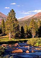 View near Tioga Pass - Yosemite National Park, CA