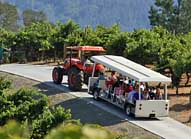 Tram Tour - Benziger Winery, Glen Ellen, CA