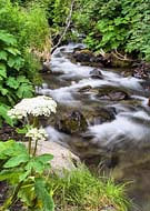 Virgin Creek - Girdwood, Alaska