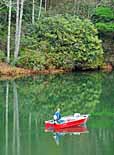 Watoga Angler - Watoga State Park, Marlinton, West Virginia