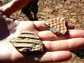 Wupatki National Monument Pottery Shards